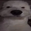 mewhen mewhen