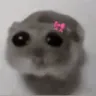 ofjustasadgirlhamster Discord Emoji