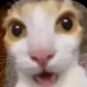 Huh Huh