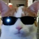 RaKitty RaKitty