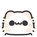 cat_shocked