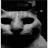 catdespair