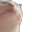CatJAM