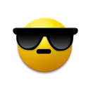 vrcSunglasses