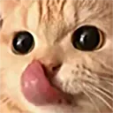 catlicktongue catlicktongue