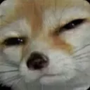 Cosmic_susdog Discord Emoji