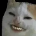 kekcat