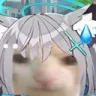 shirokosadcat