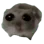 waow