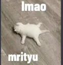 Lmao_mrityu