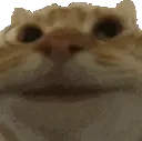 yes