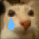 gatotriste