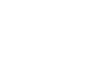 Trident