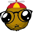 nerdg