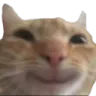 mel_smile