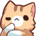 catthink catthink