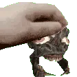 petthecrawler