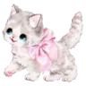 f3_kitty