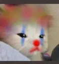 clown_cat clown_cat