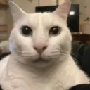 Eh