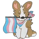transfloofer