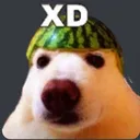 XD