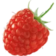 raspberry