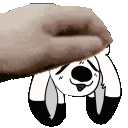 pat