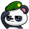 pandasalute