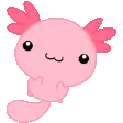 wordsdealwithitaxolotl