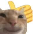 thumbsUp