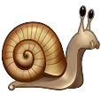 telegramsnail