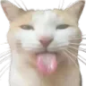 catbleh_tongue