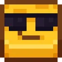 bc_sunglasses