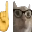 nerdcat2