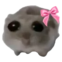 cuteham