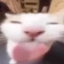 Bleh