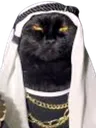 arabcat