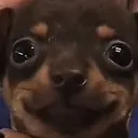 happy