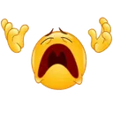 woe woe