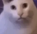 HUH