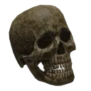 Yoricksskull Yoricksskull