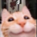 cb_cat_smile Discord emoji