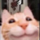 cb_cat_smile