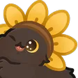 cat_flower