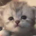 emoji_31