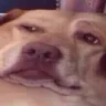 BRUH