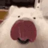 LICKA LICKA