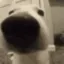 SNIFFA