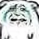 cryingchinesebear
